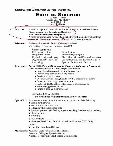Simple Objective for Resume Inspirational Resume Objective Statement Sample Jobresumesample