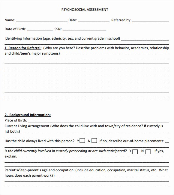 30 Social Work Assessment Form Example Document Template