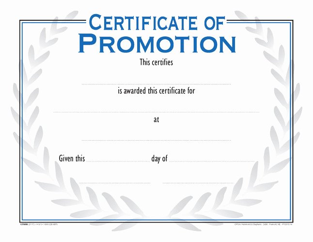 Sunday School Promotion Certificates New School Smart Raised Print Certificate Of Promotion