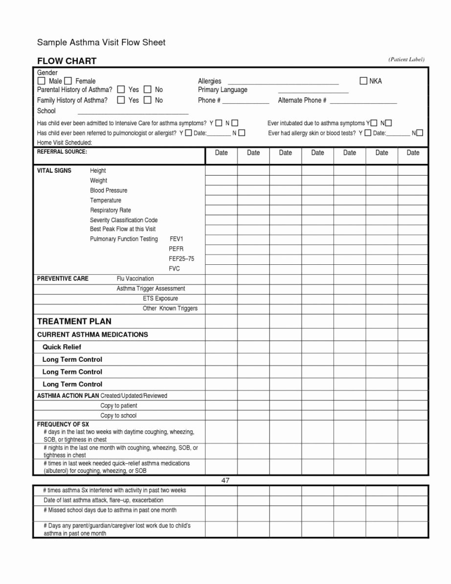 Supervised Visitation Report Template Best Of Supervised Visitation Report Template