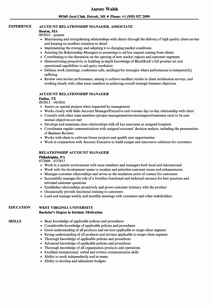 Technical Account Manager Resume Beautiful Account Manager Relationship Manager Resume Samples