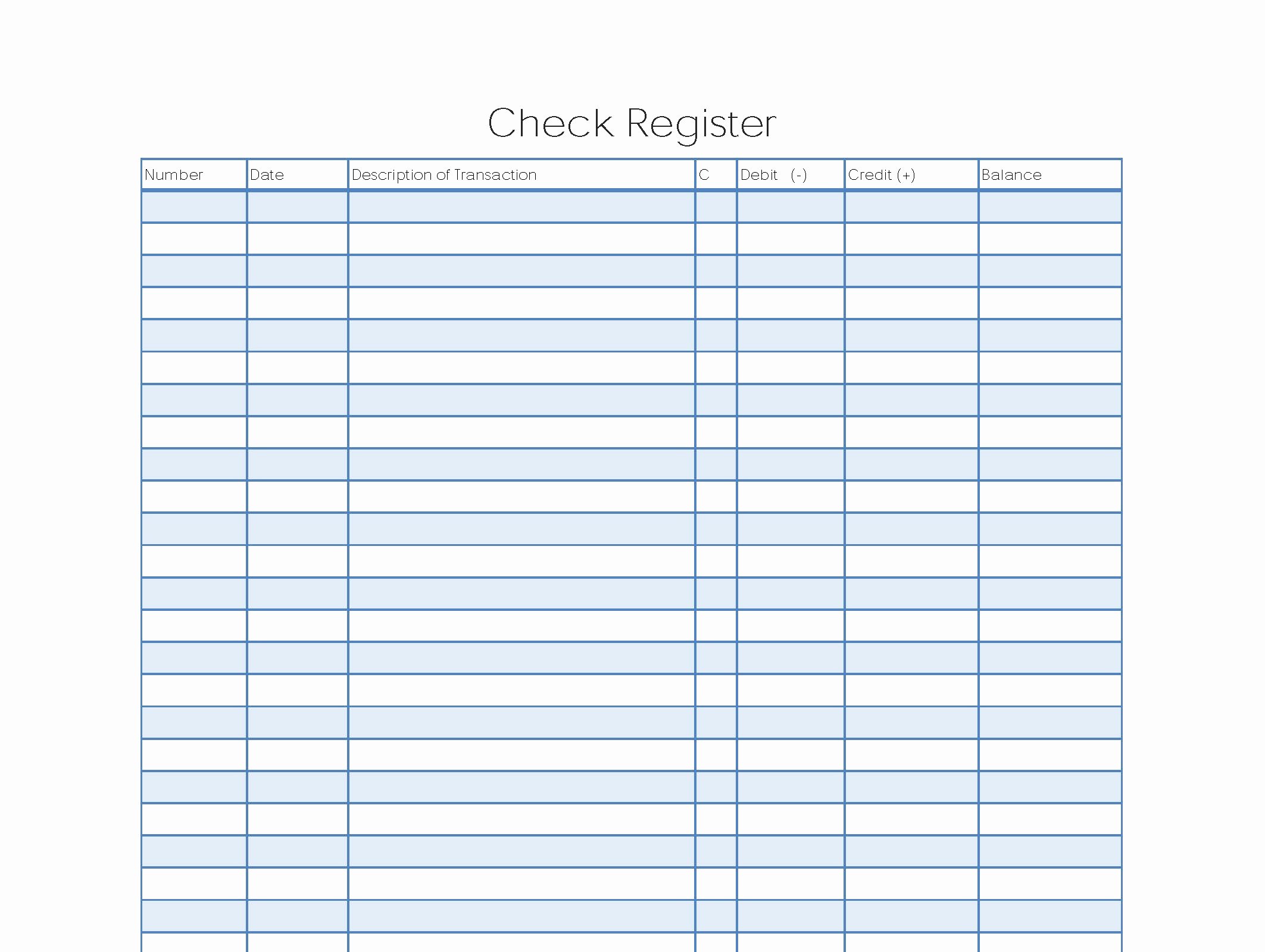 Template for Check Register Beautiful Check Register Template