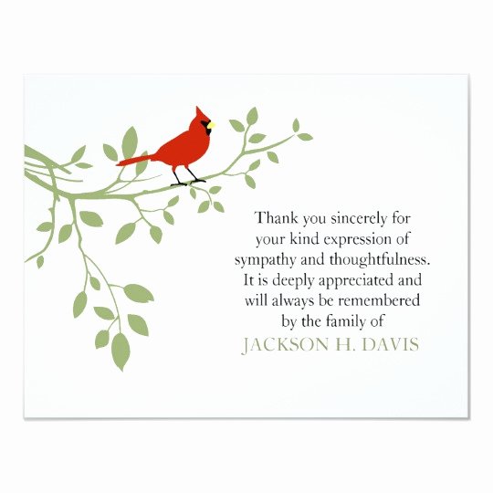 cardinal funeral thank you note card red bird