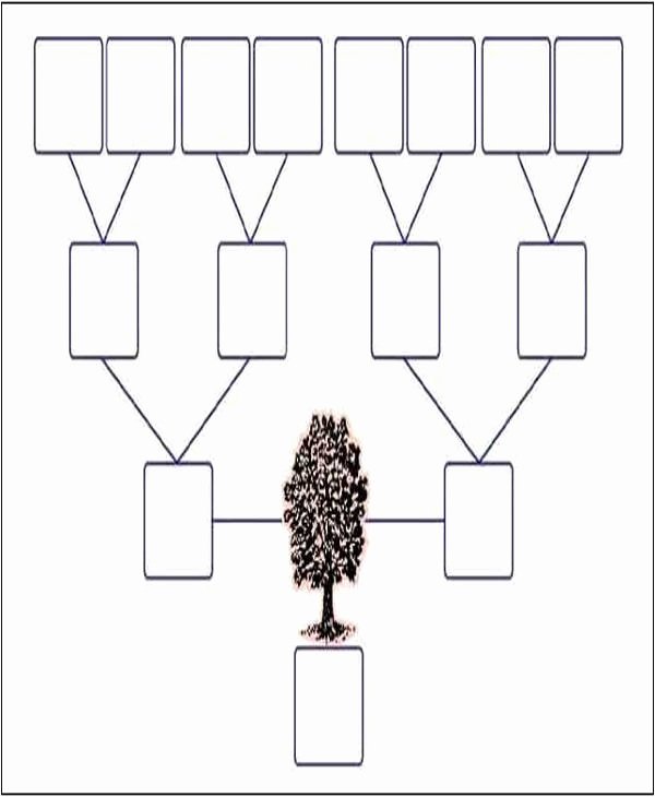Three Generation Family Tree Beautiful 9 Family Tree Template with Siblings Pdf Doc