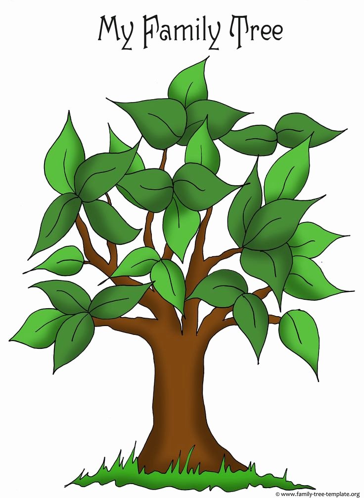 Tree Template for Family Tree Elegant Artistic Apple Tree Template for Free Placement Of Family