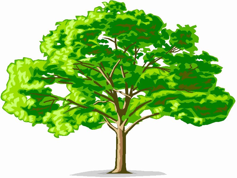Tree Template for Family Tree Lovely Family Tree Template Family Genealogy
