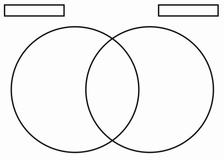 Venn Diagram to Print Elegant Printable Blank Venn Diagram Template Worksheet