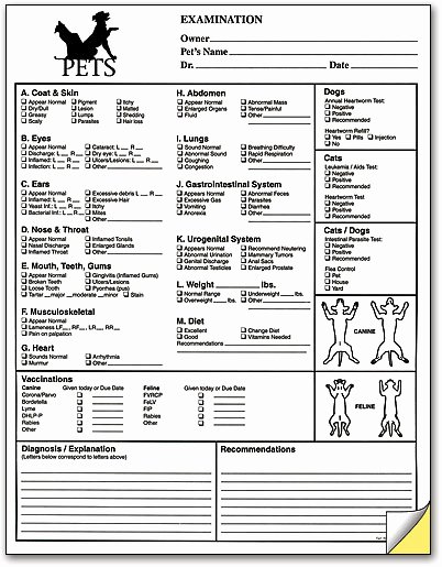 Veterinary Medical Records Templates Awesome Pet Exam form