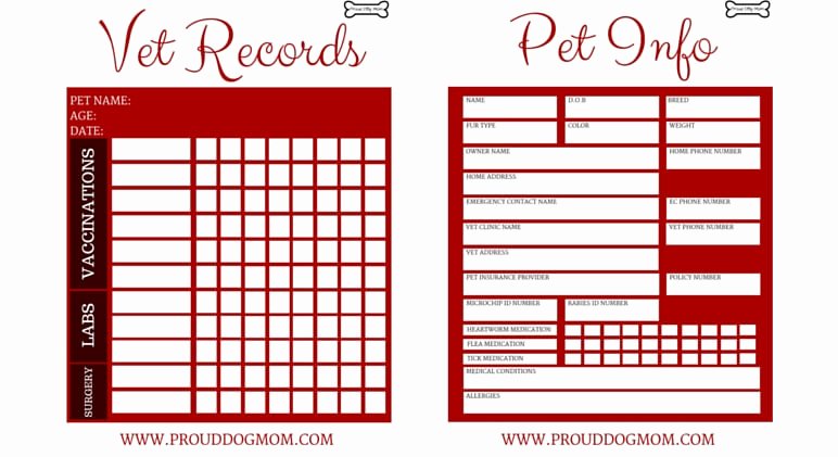 Veterinary Medical Records Templates Fresh Free Download Printable Vet Records Keeper