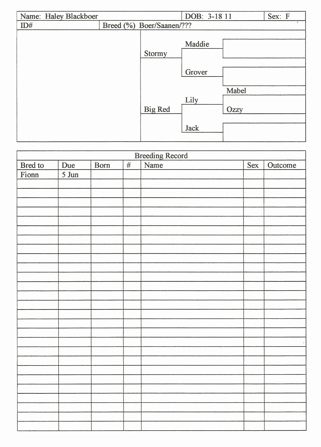 Veterinary Medical Records Templates Lovely Record Keeping for Goats