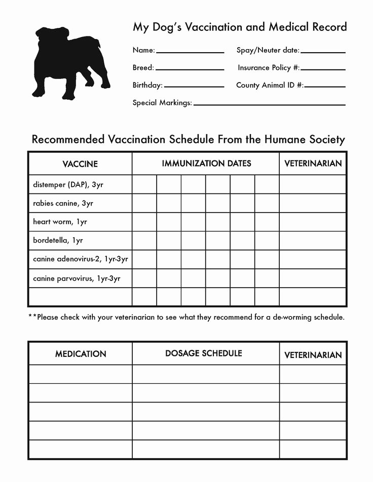 Veterinary Medical Records Templates New Printable Dog Shot Record forms