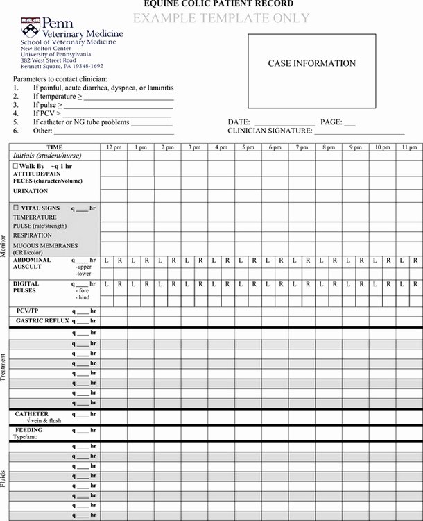 Veterinary Medical Records Templates Unique Medical Management Of Horses after Colic Surgery