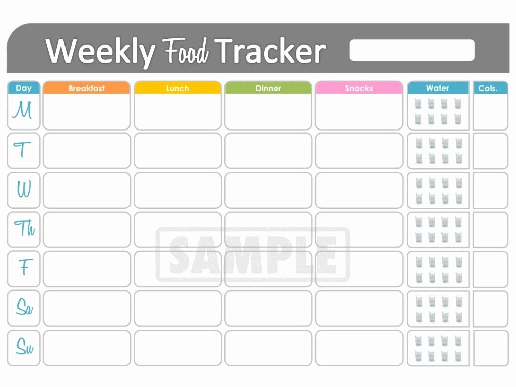Weekly Food Diary Template Beautiful Unavailable Listing On Etsy