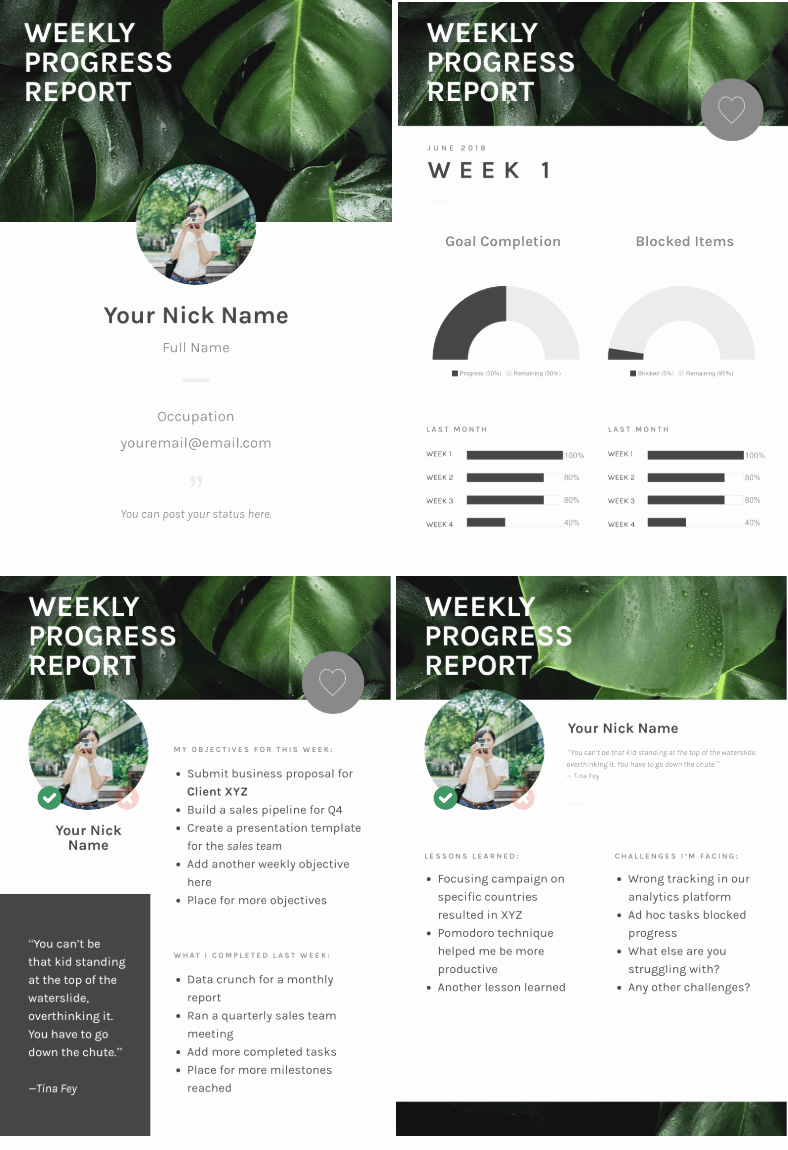 Weekly Progress Report Template Unique Progress Report How to Write Structure and Make It
