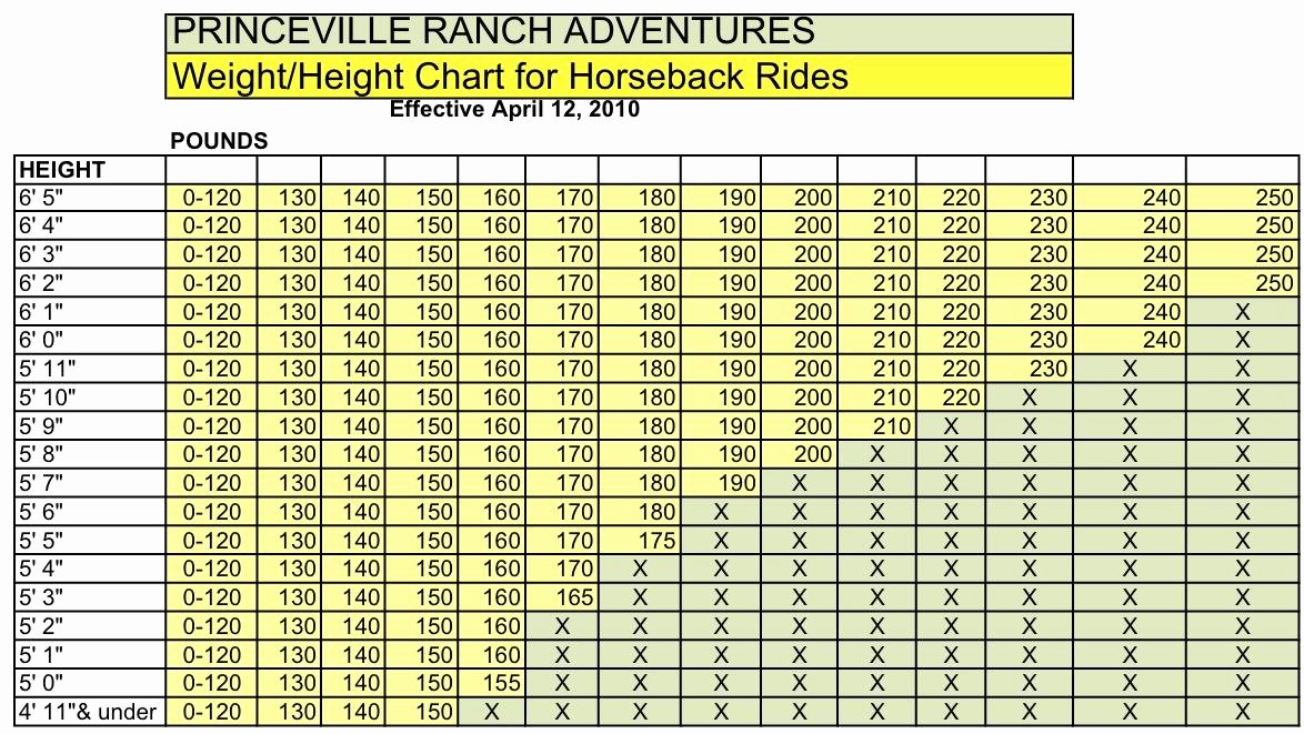Weight to Heigh Ratio Awesome Private Guide Horseback Adventure with Princeville Ranch