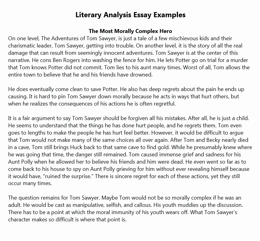 30 What Is A Literary Essay Example Document Template