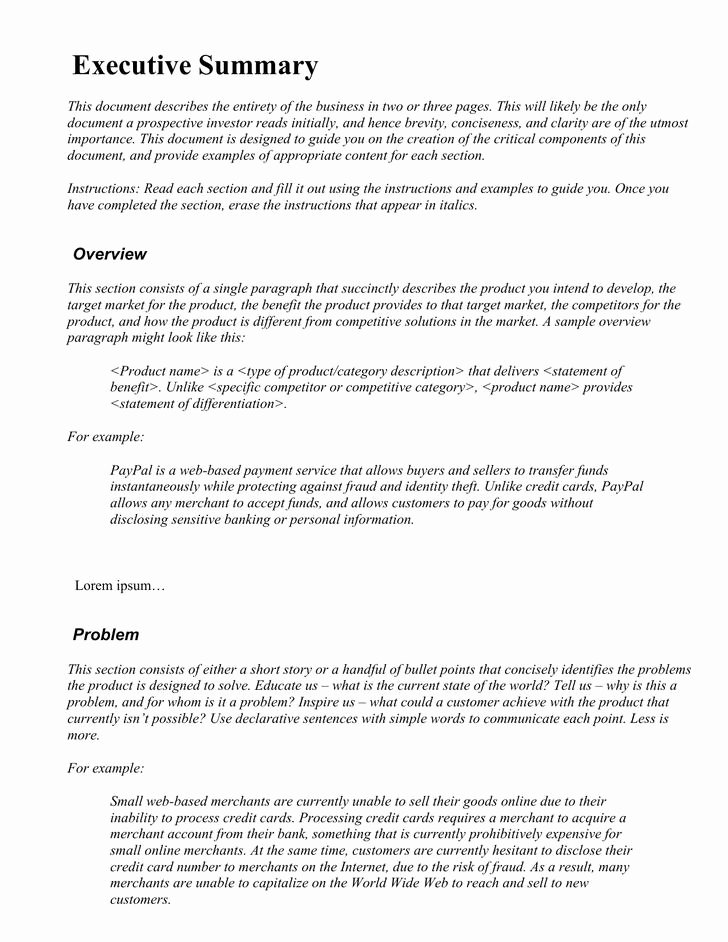 Word Executive Summary Template Awesome Executive Summary Template