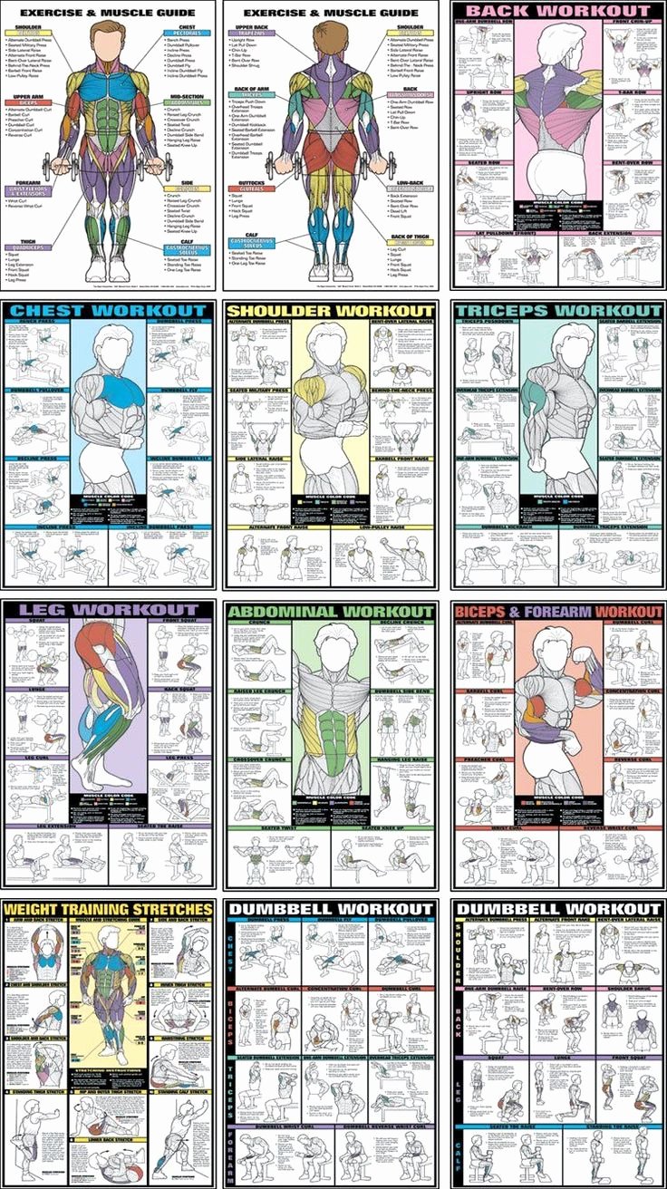 Work Out Chart Best Of 30 Best Images About Martial Arts On Pinterest