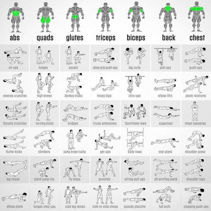 Work Out Chart Luxury Bodyweight Exercises Chart Full Body Workout Plan